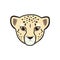 Cute wild cheetah character cartoon face in vector