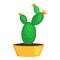 Cute window houseplant cactus icon, cartoon style