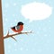 Cute winter bullfinch bird on a branch