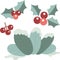 Cute Winter Plants Nature Illustration Vector Clipart