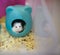 Cute Winter White Dwarf Hamster head out of her house begging for pet food.