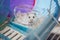 Cute winter white hamster pet animal dressing with shredded white tissue paper as mummy in disguise for festive Halloween holiday.