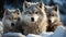 A cute wolf puppy in the snowy forest, looking at camera generated by AI