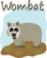 Cute wombat image with text