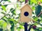 Cute wooden toy bird house in the depth of ripening cherry tree