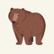 Cute woodland animal, brown bear. Forest fluffy predator, clumsy and plump beast stay and smile. Dangerous fuzzy grizzly