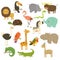 Cute Woodland and Jungle Animals Vector Set