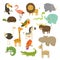 Cute Woodland and Jungle Animals Vector Set