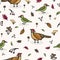 Cute woodpecker and pheasant cartoon seamless vector pattern background.