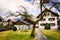 Cute yard in Austrian village with mountains covered with snow o