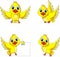 Cute yellow bird cartoon collection