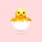 A cute yellow chick peeking out of an eggshell, on a pink background.