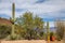 Cute yellow fire hydrant imitates shape of saguaro cactus, Arizona