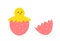 Cute yellow hatching chick from egg. Easter egg