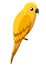 Cute yellow parrot. Wild bird cartoon style. Flat vector illustration isolated on white background