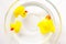 Cute yellow rubber ducks family floating on the water