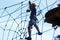 Cute young boy in helmet with climbing equipment in the rope amusement park. Summer camp,