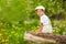 Cute young boy sitting on stump in spring blooming garden