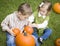 Cute Young Brother and Sister At the Pumpkin Patch