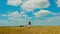 Cute young brunette woman with beautiful long hair in white short summer sundress walks on golden wheat field