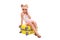 Cute young girl in white shirt, pink shorts and sunglasses sit on the yellow suitcase and talk on the phone