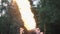 Cute young grace girl performing a show with flame standing in front of forest. Skillful fireshow artist exhaling