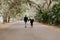 Cute Young Happy Loving Couple Walking Down an Old Abandoned Road with Mossy Oak Trees Overhanging