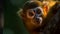 Cute young macaque staring, close up portrait generated by AI