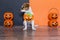 cute young small dog lying on on the wood floor with a halloween costume and decoration. Pets indoors. orange and black background