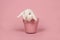 Cute young white rabbit in a pink flowerpot on a pink background