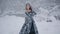 Cute young woman in fairy tale image in grey royal dress stands in snow