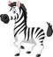 Cute zebra cartoon