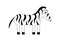 Cute zebra illustration