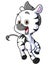 The cute zebra is running and laughing with the big smile