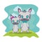 cute zebras couple characters vector illustration