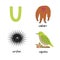 Cute zoo alphabet in vector. U letter. Funny cartoon animals: urchin, uakari, uguisu