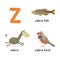 Cute zoo alphabet in .Z letter. Funny cartoon animals: zebra, zebrafish, zebrafinch