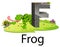 Cute zoo animal alphabet F for frog with real animal