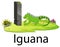 Cute zoo animal alphabet I for Iguana with real animal