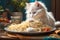 Cuteness Overload: White Kitten Enjoying Spaghetti