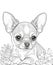 The Cutest Dog with big eyes Coloring Pages for dog lovers