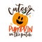 Cutest Pumpkin in the patch- funny Halloween text with smiley pumkin.