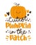 Cutest pumpkin in the patch- happy slogan with cute smiley pumpkin.