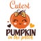 Cutest pumpkin in the patch- happy slogan with cute smiley pumpkin. Good for T shirt print, poster, card, label