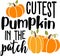 Cutest pumpkin in the patch. Thanksgiving day. Thankful phrases