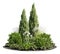 Cutout bush and plants. Cedar tree