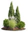 Cutout bush and plants. Cedar tree