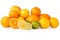 Cutout of a Collection of Citrus Fruits and Slices