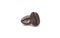 cutout picture of single pair harmony coffee bean roast with dark brown colour textured isolated on white backgrounds