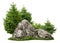 Cutout rock surrounded by pine trees